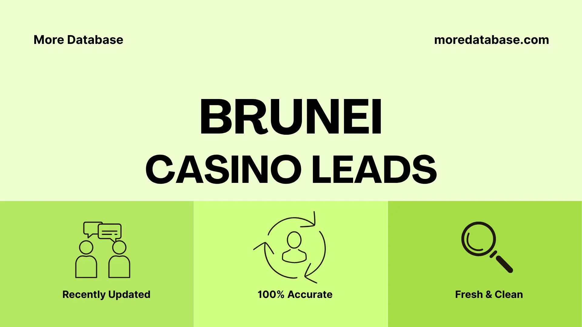Brunei Casino Leads